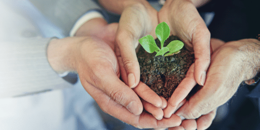 Four white hands cup a mound of soil with a small green seedling at the center