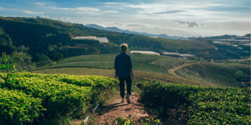 A person with short, blonde hair walks downhill on a dirt path in the middle of two green fields with a hazy sky in the background